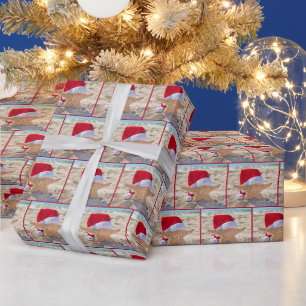 Papel De Regalo Estrella de mar de Navidad en arena de playa