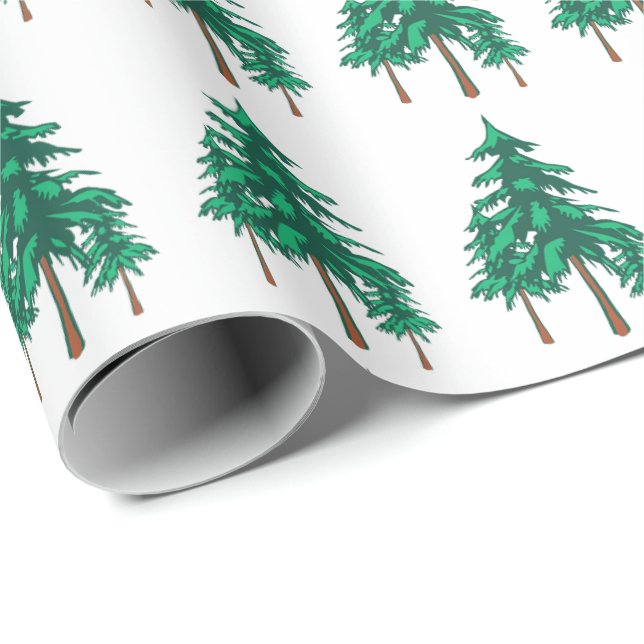 Papel De Regalo Evergreens de invierno fresco (Esquina del rollo)