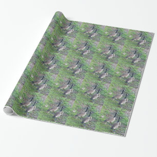 Papel De Regalo Familia Geese de Canadá