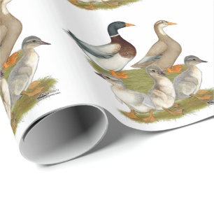 Papel De Regalo Familia Sajonia Duck