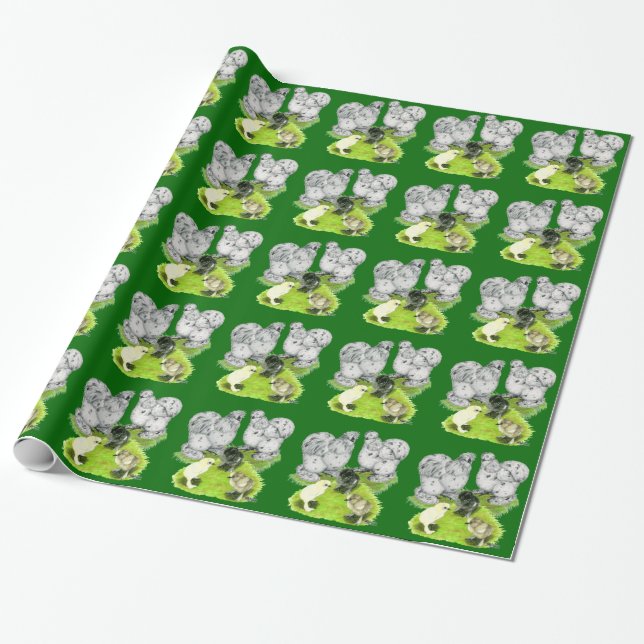 Papel De Regalo Familia Silkie Bantam Splash (Desenrollado)
