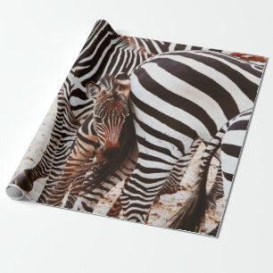 PAPEL DE REGALO FAMILIA ZEBRA