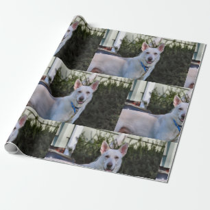 Papel De Regalo Fantasma