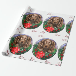 Papel De Regalo Felices Navidad del perro de aguas de Boykin