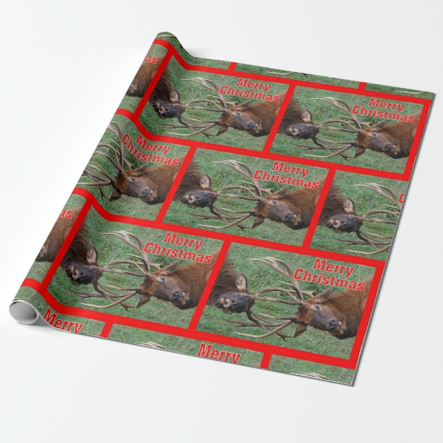 Papel De Regalo Felices Navidad Sparring divertidas de los alces (Desenrollado)