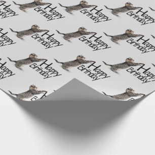 Papel De Regalo Feliz Cumpleaños divertido gato atigrado