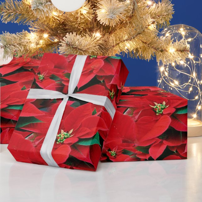 Papel De Regalo Feriado de Poinsettia Roja (Vacaciones)