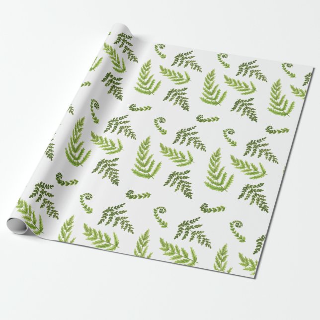 Papel De Regalo Ferns (Desenrollado)