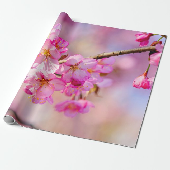 Papel De Regalo Festival De Primavera De Flores De Sakura Rosa (Desenrollado)