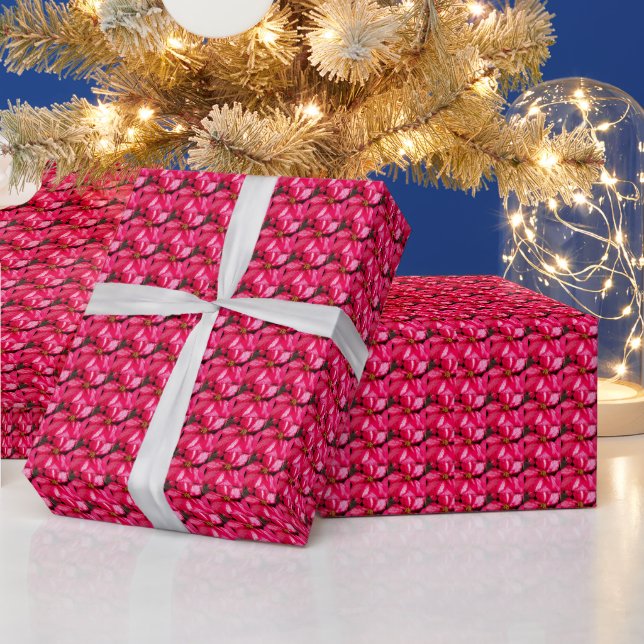 Papel De Regalo Festividad del patrón de Poinsettia Variado rosa (Vacaciones)