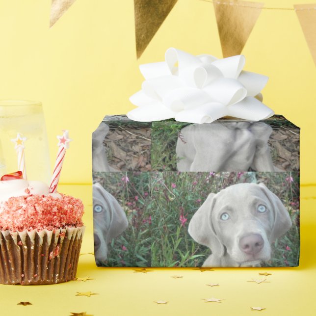 Papel De Regalo Fiesta del Jardín de Brooklyn - Perro Weimaraner (Fiesta de cumpleaños )