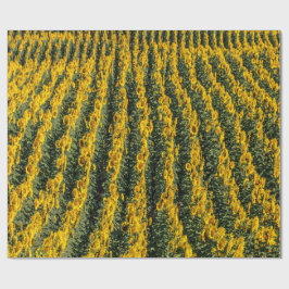 Papel De Regalo Filas de girasol
