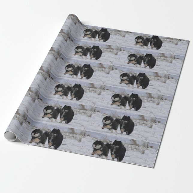 Papel De Regalo Finnish Lapphunds (Desenrollado)