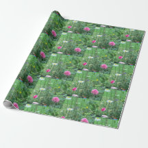 Fleurs d'été