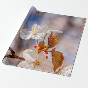 Papel De Regalo Flor Blanca Sakura Y Saltos Naranjas Sunlight