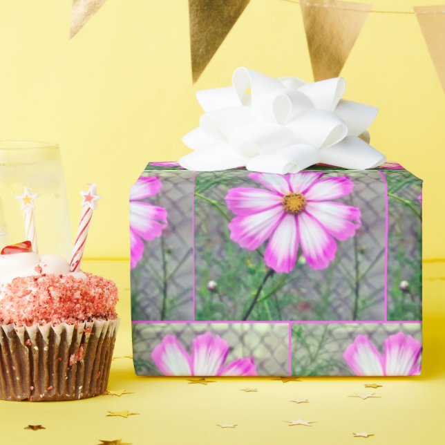 Papel De Regalo Flor cosmológica rosa y blanca (Fiesta de cumpleaños )