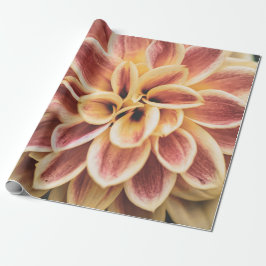 Papel De Regalo Flor Dahlia de verano (arte floral)