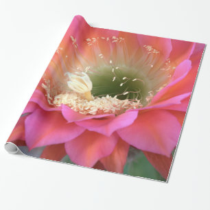Papel De Regalo Flor de cactus rosado en el desierto