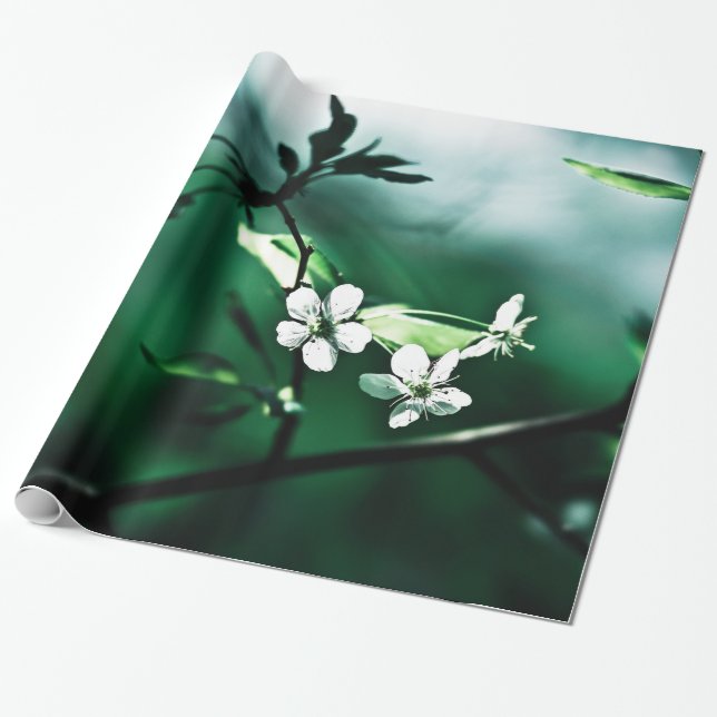 Papel De Regalo Flor de cerezo blanca (Desenrollado)