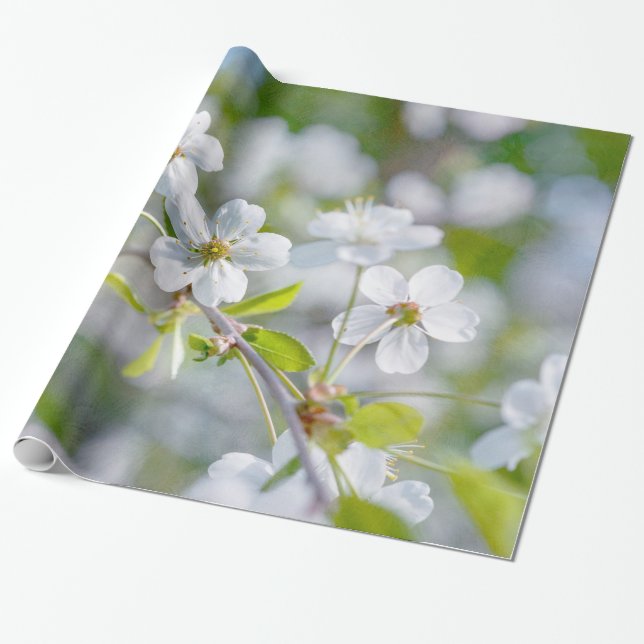 Papel De Regalo Flor de cerezo blanca (Desenrollado)