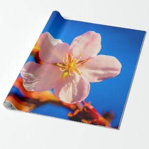 Papel De Regalo Flor de cerezo sakura japonesa