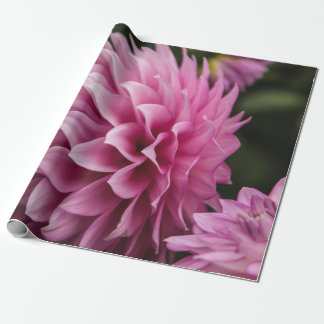 Papel De Regalo flor de dalia de primavera