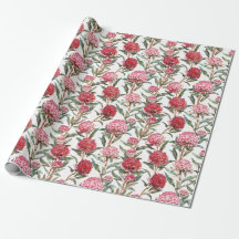 Flor de flores silvestres australiana Waratah