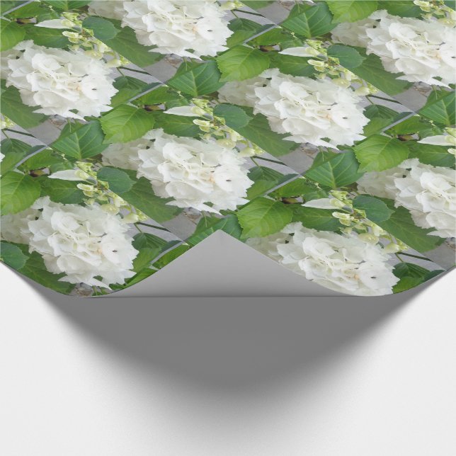 Papel De Regalo Flor de Hortensia Verde Blanco Naturaleza Plantas  (Esquina)