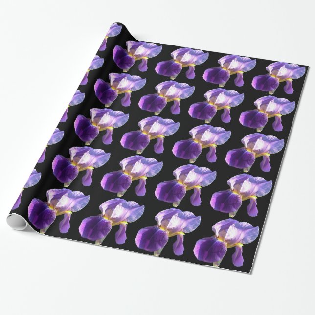 Papel De Regalo Flor de iris bonito púrpura en negro (Desenrollado)