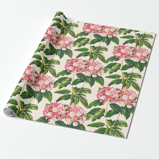 Papel De Regalo Flor de Laurel de Montaña Rosa Vieja (Desenrollado)