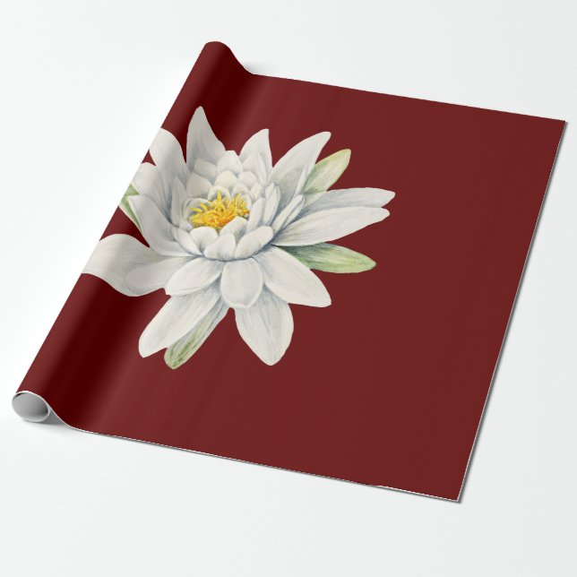 Papel De Regalo Flor de lirio de agua blanca (Desenrollado)