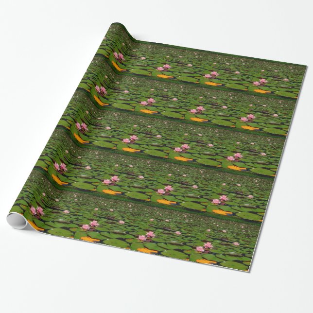 Papel De Regalo Flor de lirio de agua de loto rosa (Desenrollado)