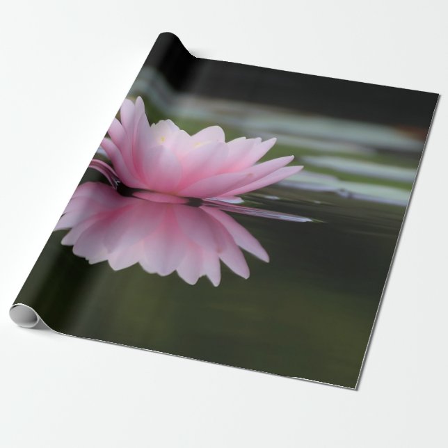 Papel De Regalo Flor de Loto, Zen (Desenrollado)