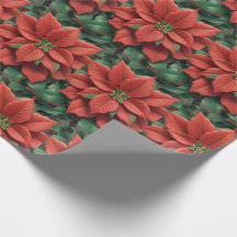 Flor de navidad Diseño de Poinsettia