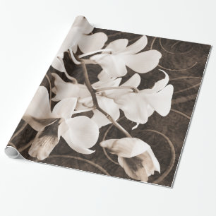 Papel De Regalo Flor de orquídea blanca Sepia de fondo negro flor