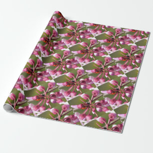 Papel De Regalo Flor de Redbud con Ladybug