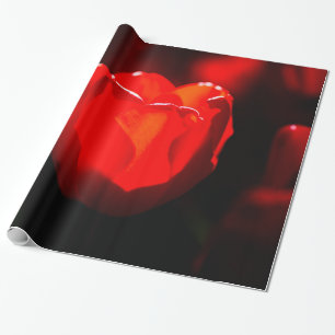 Papel De Regalo Flor de tulipán rojo - Fuego