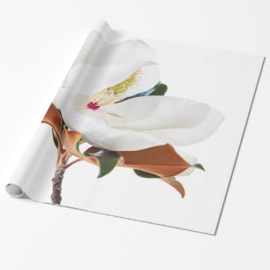 Papel De Regalo Flor floral de las magnolias blancas de la flor de