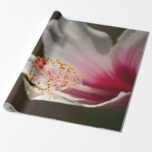 Papel De Regalo Flor Hibiscus Tropical Rosa y Blanca Hawaii