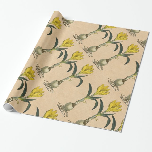 Papel De Regalo Flor Jardín Botánico Amaryllis Tulip (Desenrollado)