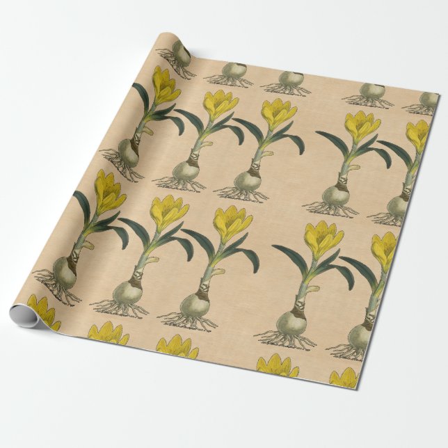 Papel De Regalo Flor Jardín Botánico Amaryllis Tulip (Desenrollado)