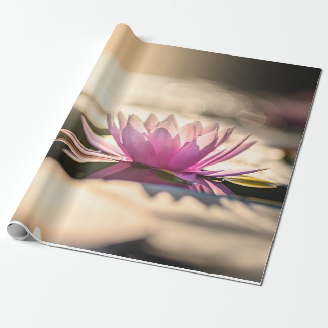 Papel De Regalo Flor Lotus, Lago Zen (Desenrollado)