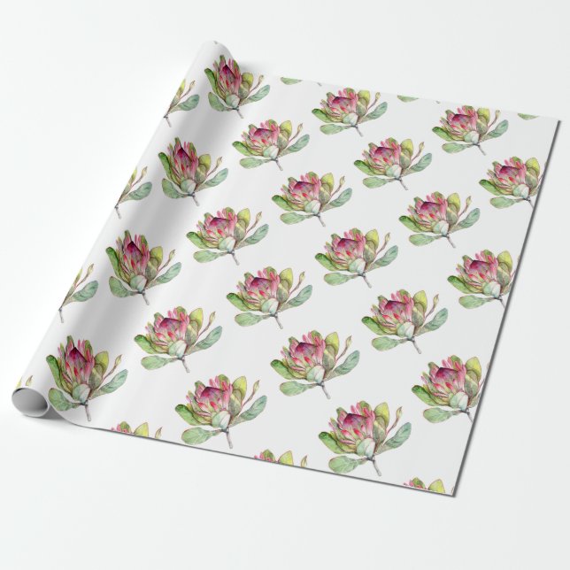 Papel De Regalo Flor Protea (Desenrollado)