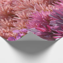 Flor púrpura anaranjada moderna de la dalia del