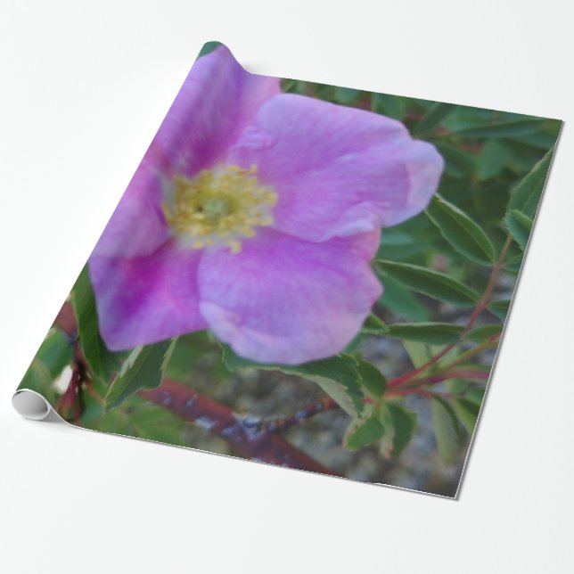 Papel De Regalo Flor rosa suave (Desenrollado)