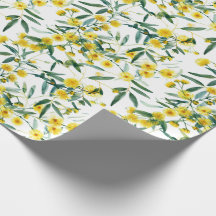 Flor salvaje australiana Golden Wattle