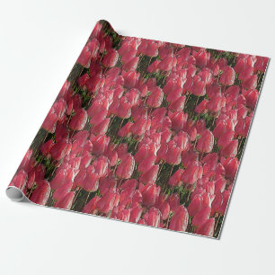 Papel De Regalo Floral de tulipanes rosados