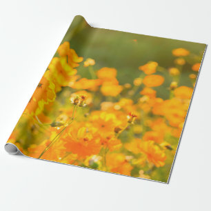 Papel De Regalo Flores cosmales en el campo de la provincia de Lum