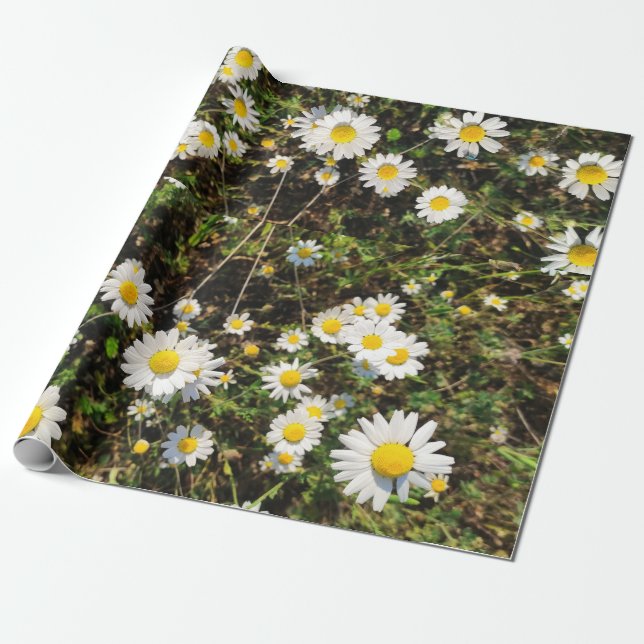 Papel De Regalo Flores de Chamomile (Desenrollado)