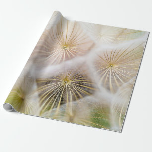 Papel De Regalo Flores de dientes de león blanco